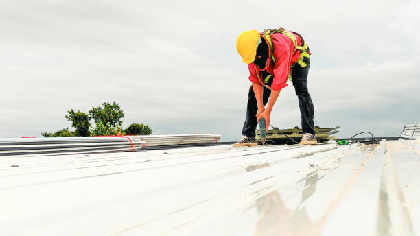 Best Roof Insulation Installation  in Gassville, AR