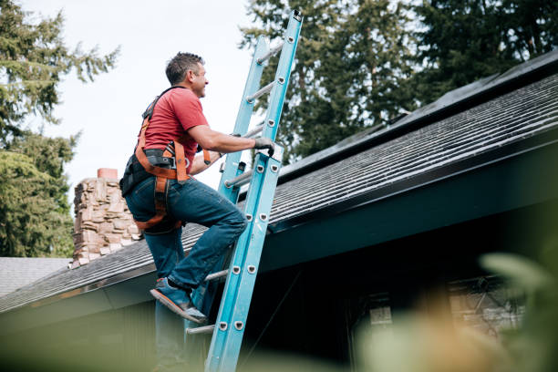 Best Steel Roofing  in Gassville, AR